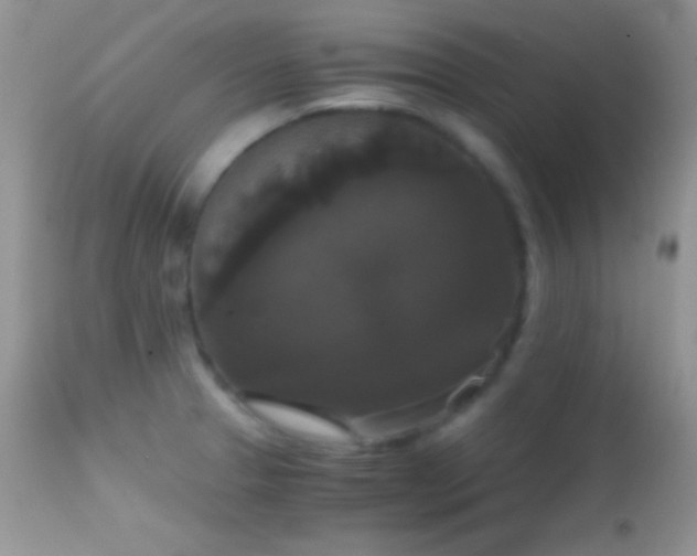 X0000114641329200910201434