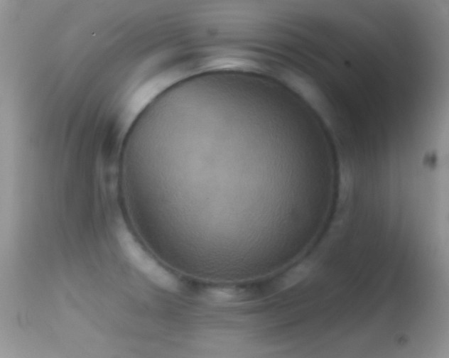 X0000114641330200910201434