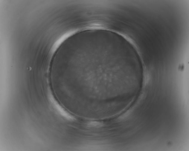 X0000114641333200910201434