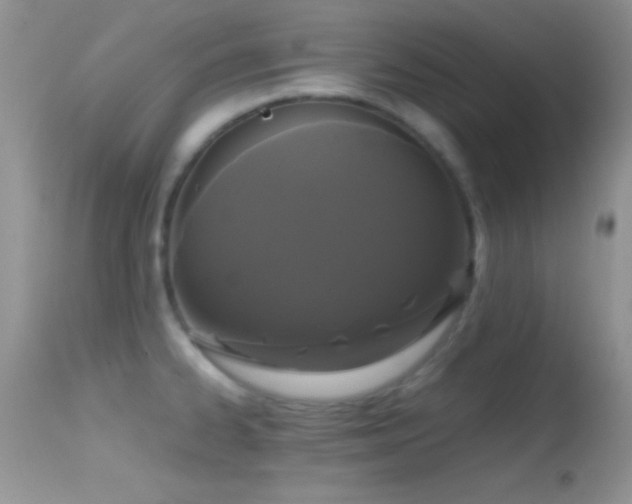 X0000114641334200910201434