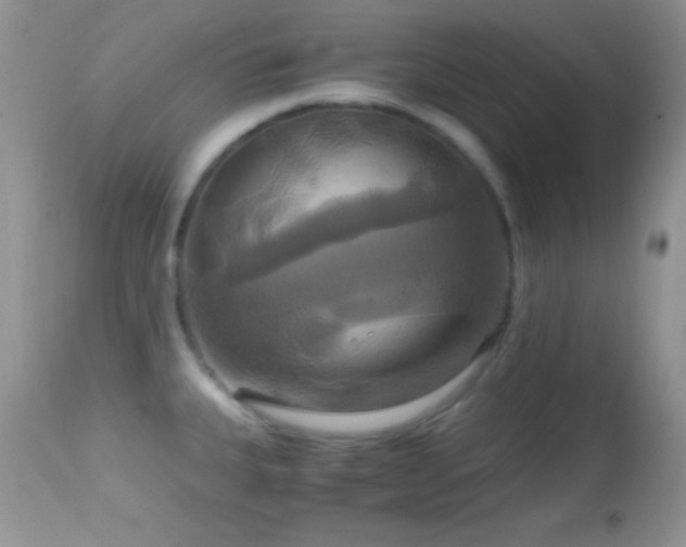 X0000114641335200910201434