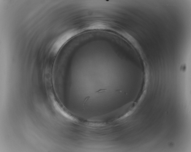 X0000114641337200910201434