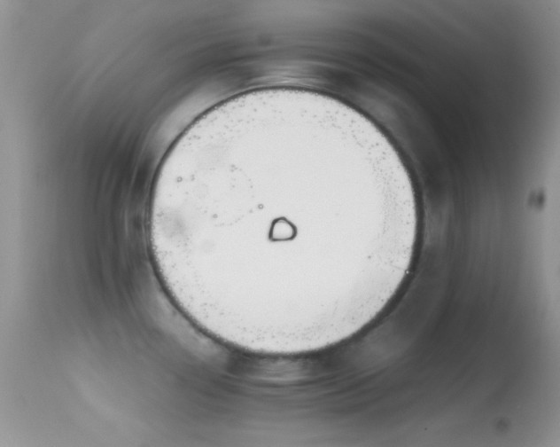 X0000114641338200910201434