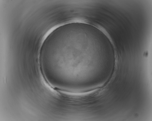 X0000114641339200910201434