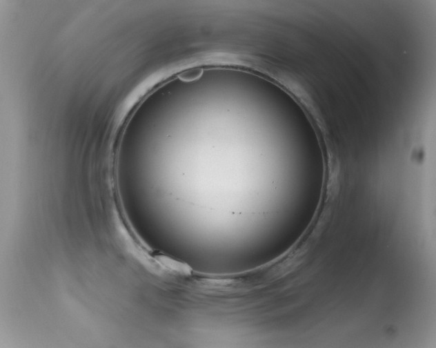 X0000114641342200910201434