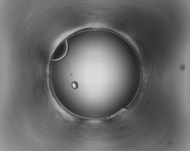 X0000114641343200910201434