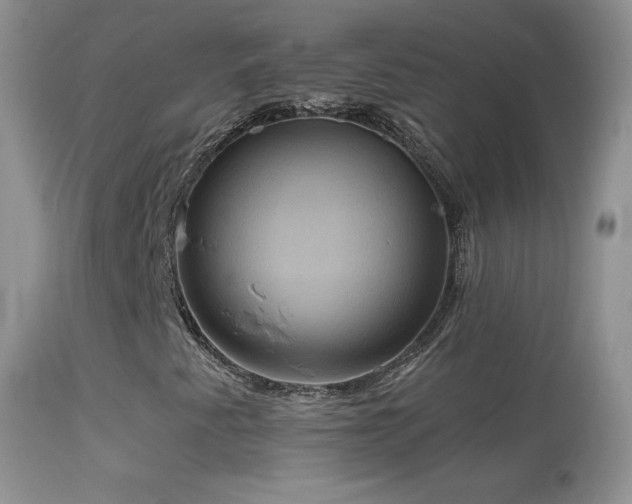 X0000114641345200910201433