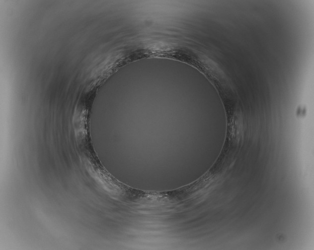 X0000114641346200910201433