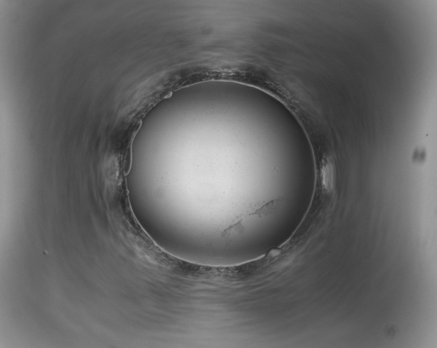 X0000114641347200910201433