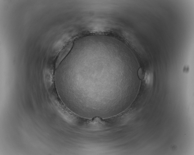 X0000114641348200910201433