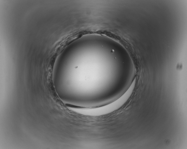 X0000114641349200910201433