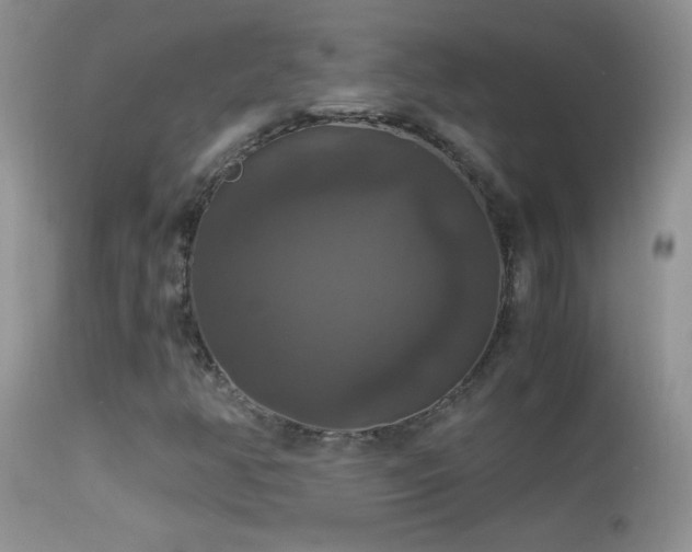 X0000114641350200910201433