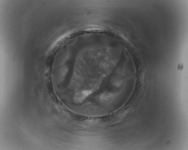 X0000114641351200910201433