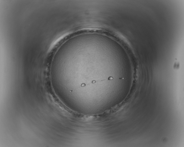 X0000114641352200910201433