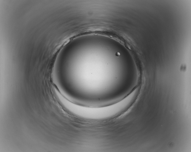 X0000114641353200910201433