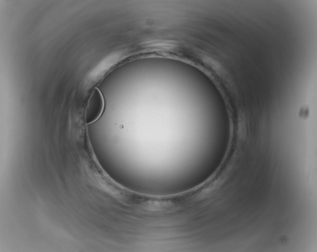 X0000114641354200910201433