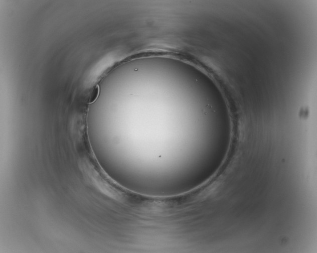X0000114641355200910201433