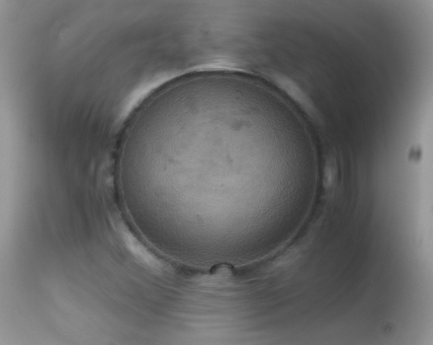 X0000114641356200910201433