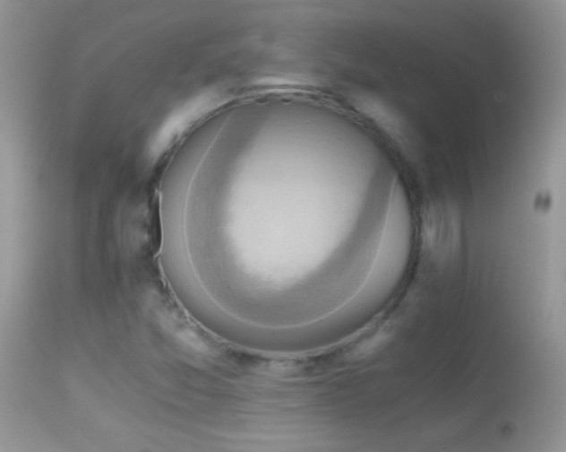 X0000114641357200910201433