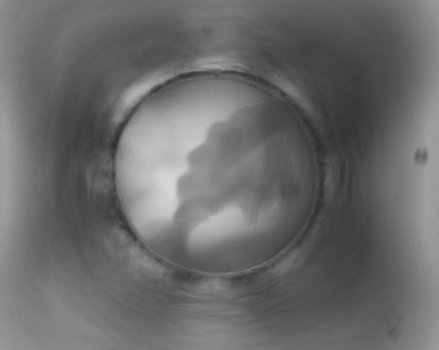 X0000114641358200910201433