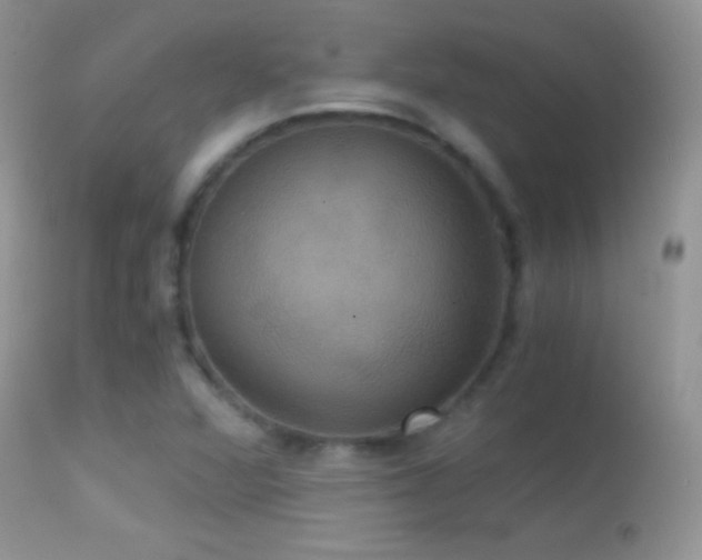 X0000114641360200910201433
