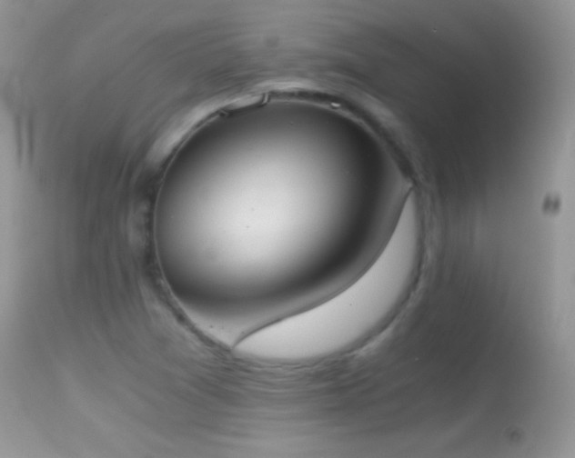 X0000114641361200910201433