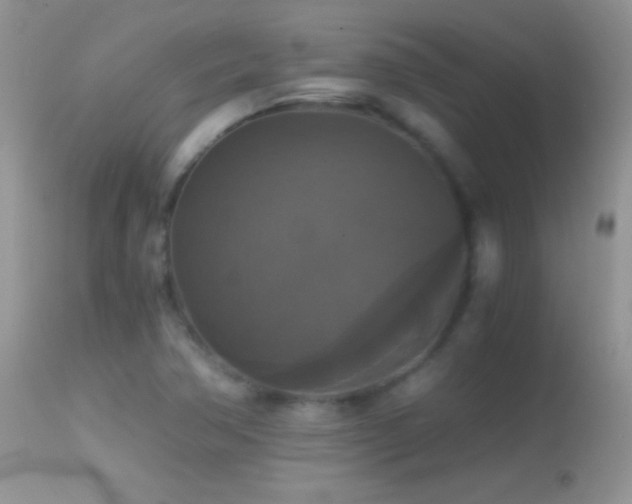 X0000114641362200910201433
