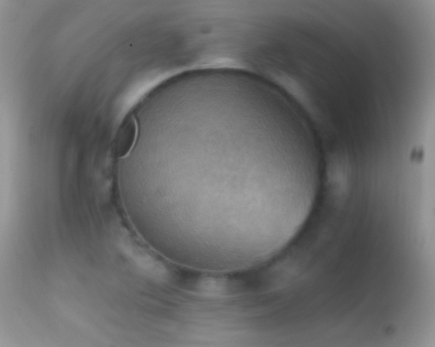 X0000114641364200910201433