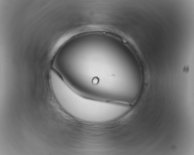 X0000114641365200910201433
