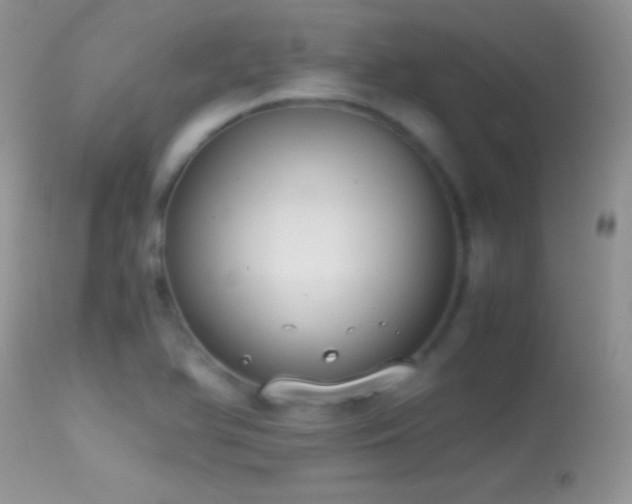 X0000114641366200910201433