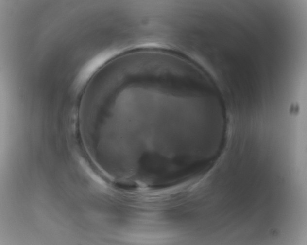 X0000114641367200910201433
