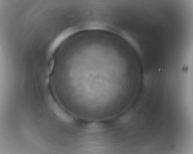 X0000114641368200910201433