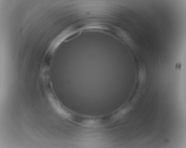 X0000114641369200910201433