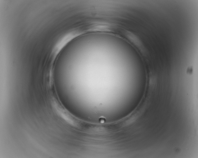 X0000114641370200910201433