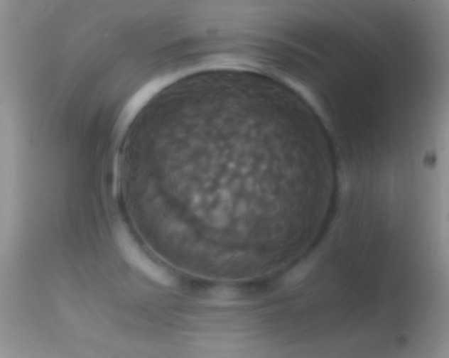 X0000114641371200910201433