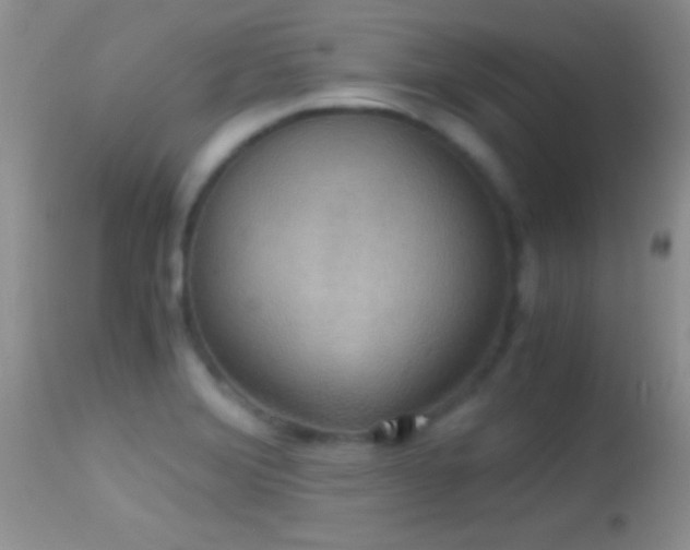 X0000114641372200910201433