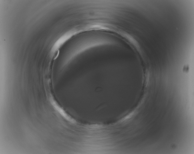 X0000114641373200910201433