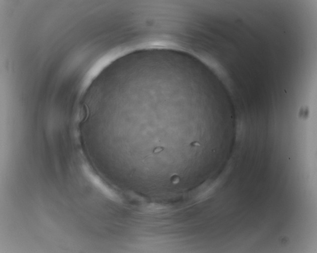 X0000114641374200910201433