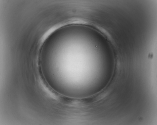 X0000114641375200910201433