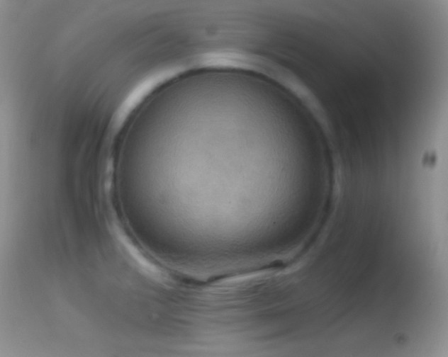X0000114641376200910201433