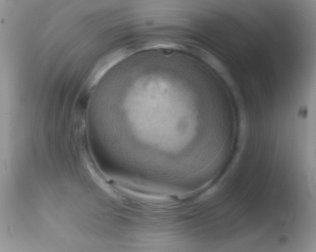 X0000114641377200910201433