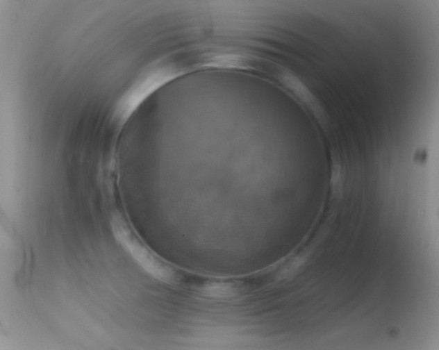 X0000114641378200910201433