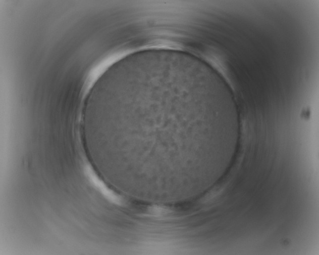 X0000114641379200910201433
