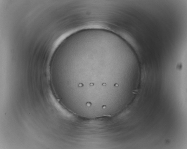 X0000114641380200910201433