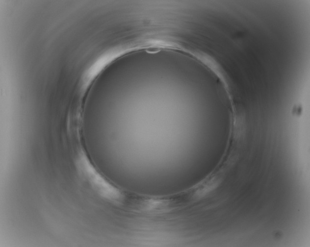 X0000114641381200910201433