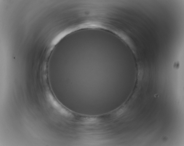 X0000114641382200910201433