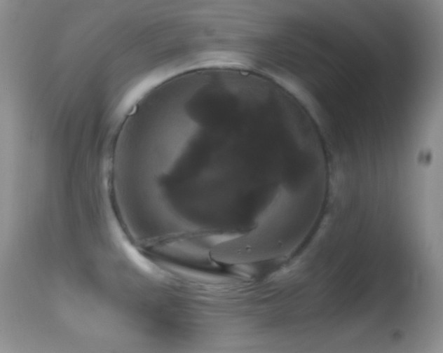 X0000114641383200910201433