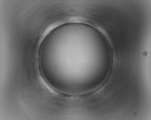 X0000114641384200910201433
