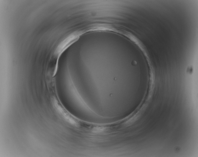 X0000114641385200910201433