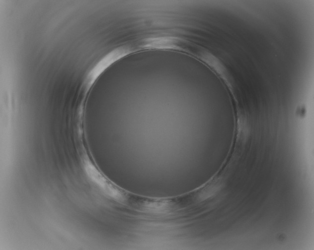 X0000114641386200910201433
